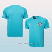 Camiseta de Entrenamiento Palmeiras 23-24 Verde