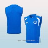 Camiseta de Entrenamiento Cruzeiro 25-26 Sin Mangas Azul