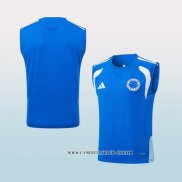 Camiseta de Entrenamiento Cruzeiro 25-26 Sin Mangas Azul