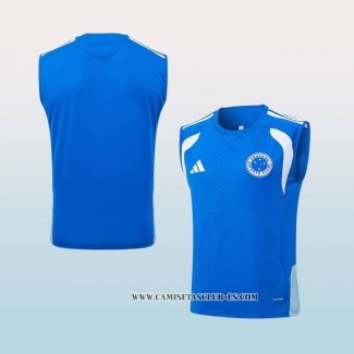 Camiseta de Entrenamiento Cruzeiro 25-26 Sin Mangas Azul