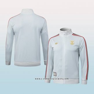 Chaqueta del Flamengo 25-26 Gris