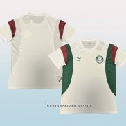 Camiseta de Entrenamiento Palmeiras 23-24 Blanco