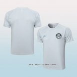 Camiseta de Entrenamiento Palmeiras 23-24 Gris