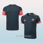 Camiseta de Entrenamiento Bayern Munich 25-26 Gris Oscuro