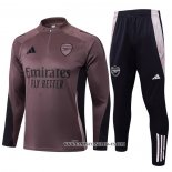 Chandal de Sudadera del Arsenal 24-25 Gris Purpura