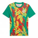Camiseta Pre Partido del Senegal 2024 Verde