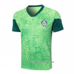 Camiseta de Entrenamiento Palmeiras 24-25 Verde
