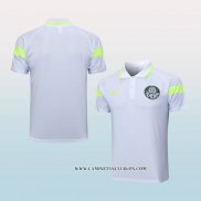 Camiseta Polo del Palmeiras 23-24 Gris