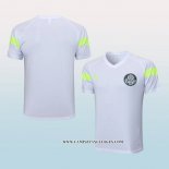 Camiseta de Entrenamiento Palmeiras 23-24 Blanco