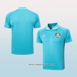 Camiseta Polo del Palmeiras 23-24 Verde